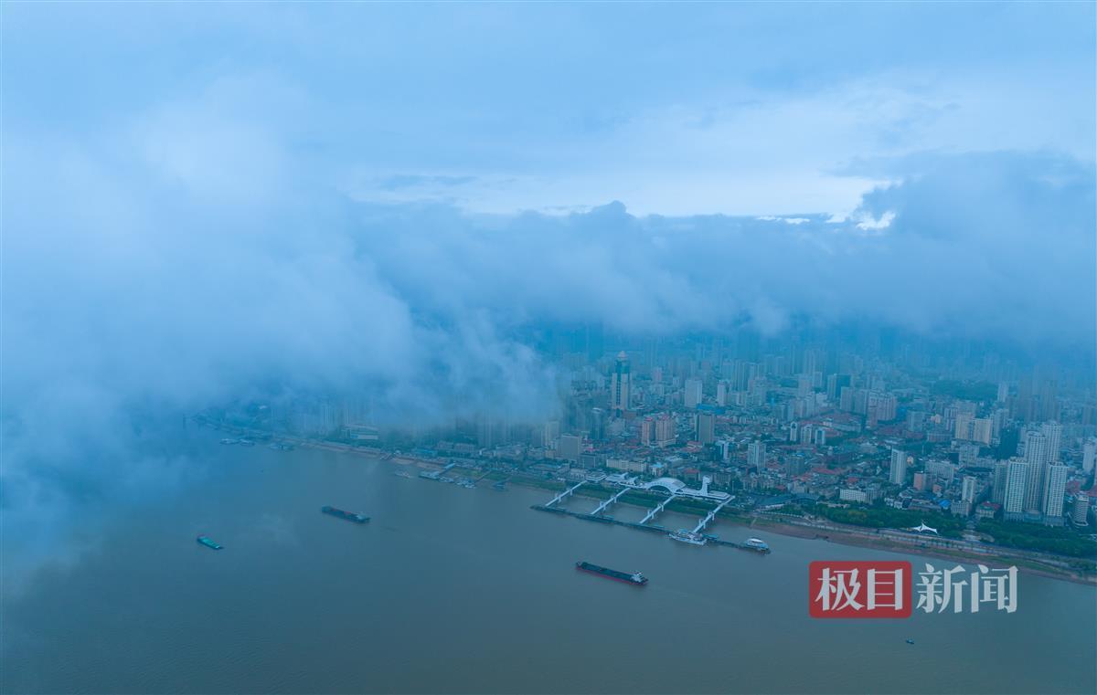 九州官网网站是多少